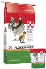 Purina Mills Purina Mills Flock Raiser Crumbles - 50 lb