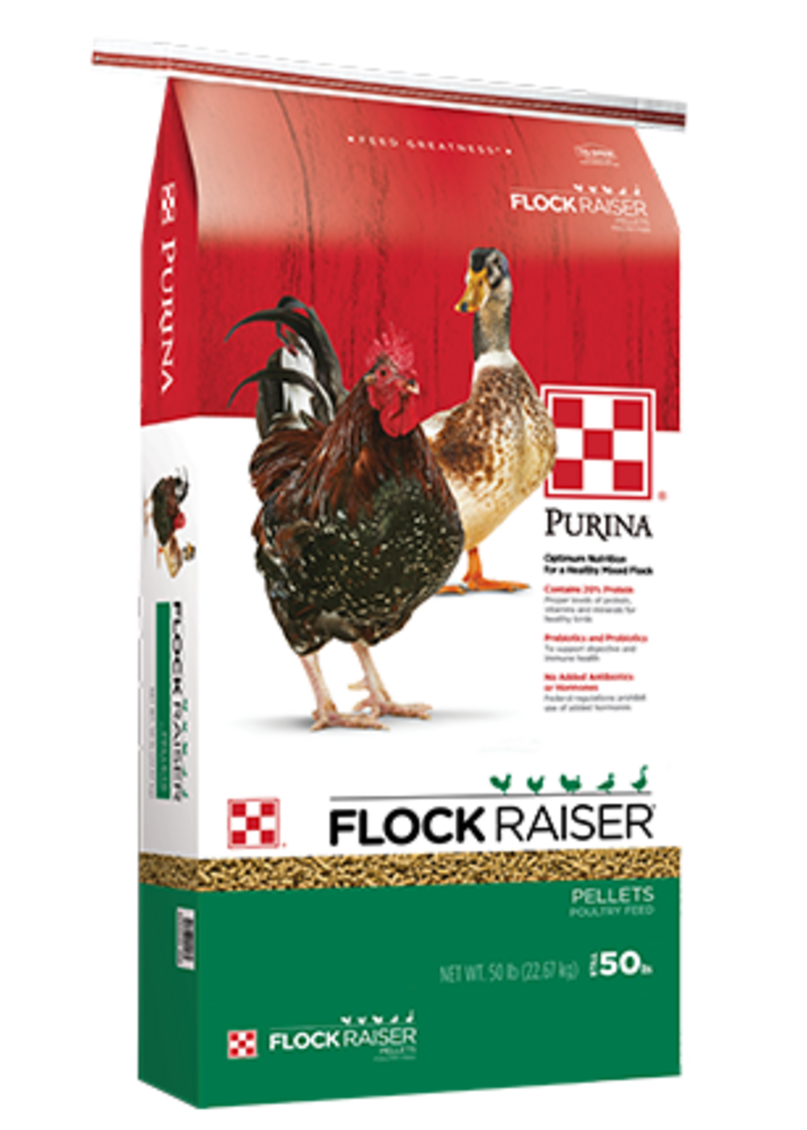 Purina Mills Purina Mills Flock Raiser Pellets - 50 lb