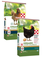 Purina Mills Purina Mills ORGANIC LAYER CRUMBLES - 35 LB