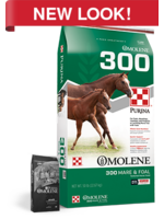 Purina Mills Purina Mills Omolene 300 Horse Feed - 50 lb