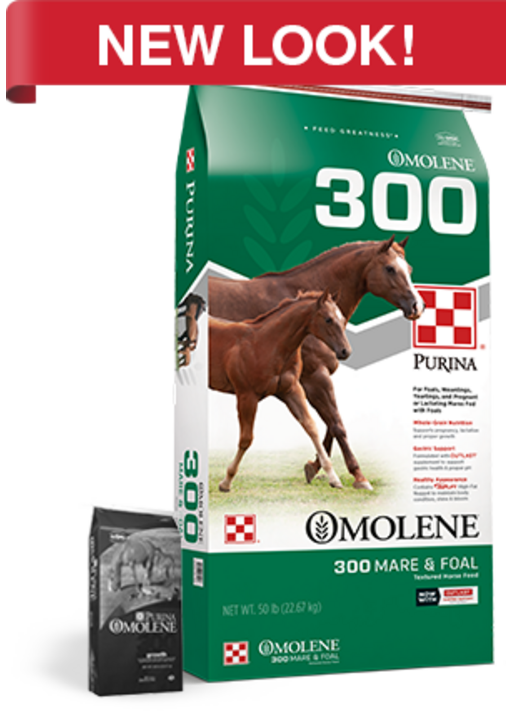 Purina Mills Purina Mills Omolene 300 Horse Feed - 50 lb (s/o)