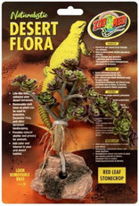 Zoo Med Zoo Med Red Leaf Stonecrop Desert Flora Terrarium Plant
