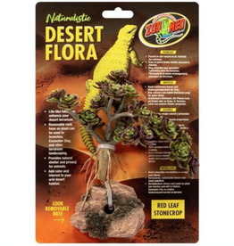 Zoo Med Zoo Med Red Leaf Stonecrop Desert Flora Terrarium Plant