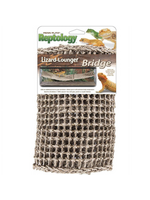 Penn-Plax Penn-Plax Reptology Lizard Lounger Bridge – Extra-Extra Large, 14"