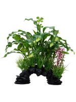 Fluval Aqualife Curly Aponogeton Plant Mix 10 inch