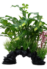 Fluval Aqualife Curly Aponogeton Plant Mix 10 inch