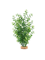 Fluval Aqualife Green Bacopa Plant Fish Aquarium Plant - 14"
