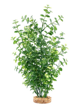 Fluval Aqualife Green Bacopa Plant Fish Aquarium Plant - 14"