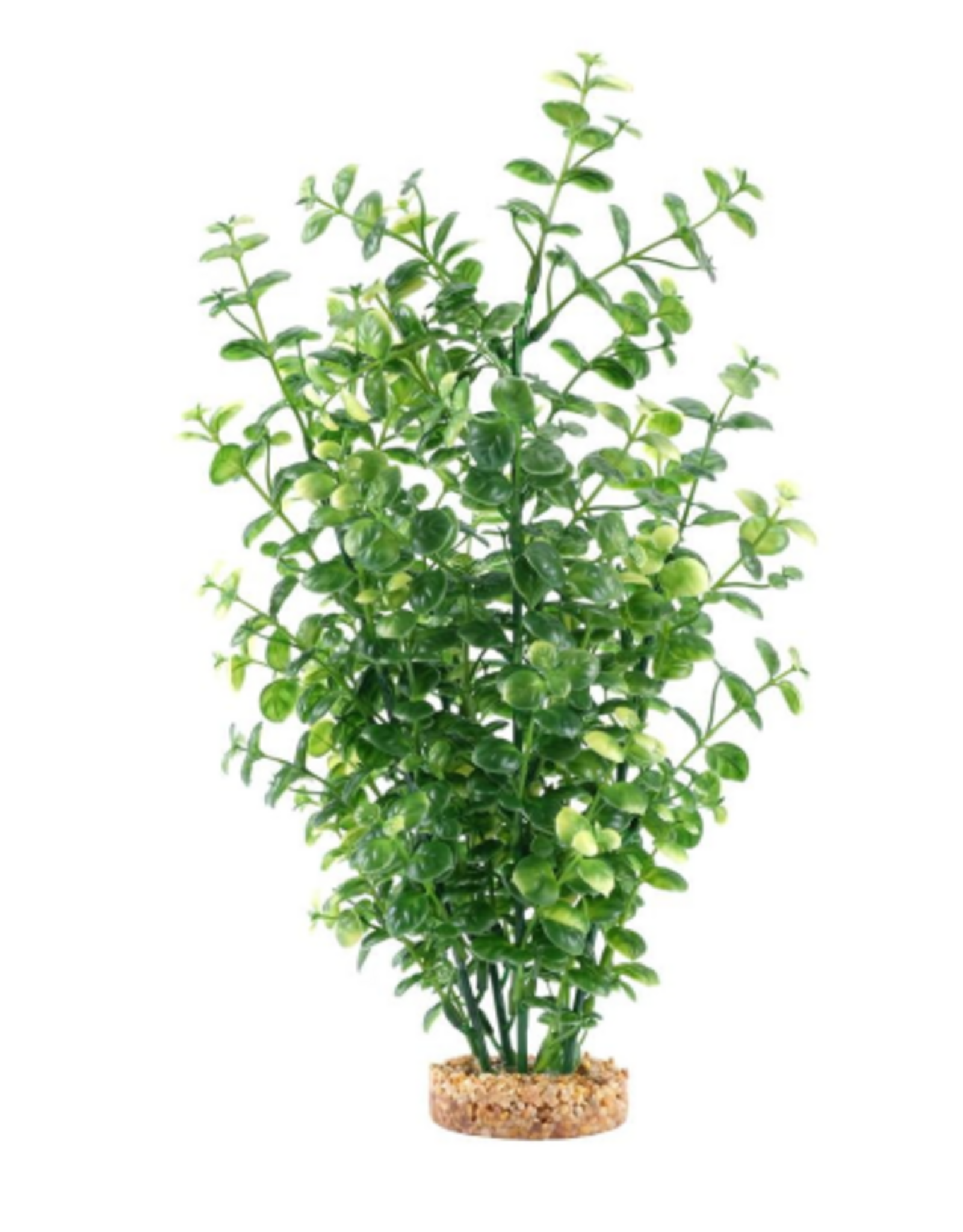 Fluval Aqualife Green Bacopa Plant Fish Aquarium Plant - 14"