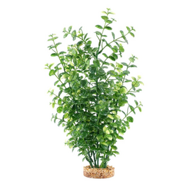 Fluval Aqualife Green Bacopa Plant Fish Aquarium Plant - 14"