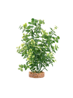 Fluval Aqualife Green Bacopa Plant Fish Aquarium Plant - 8"