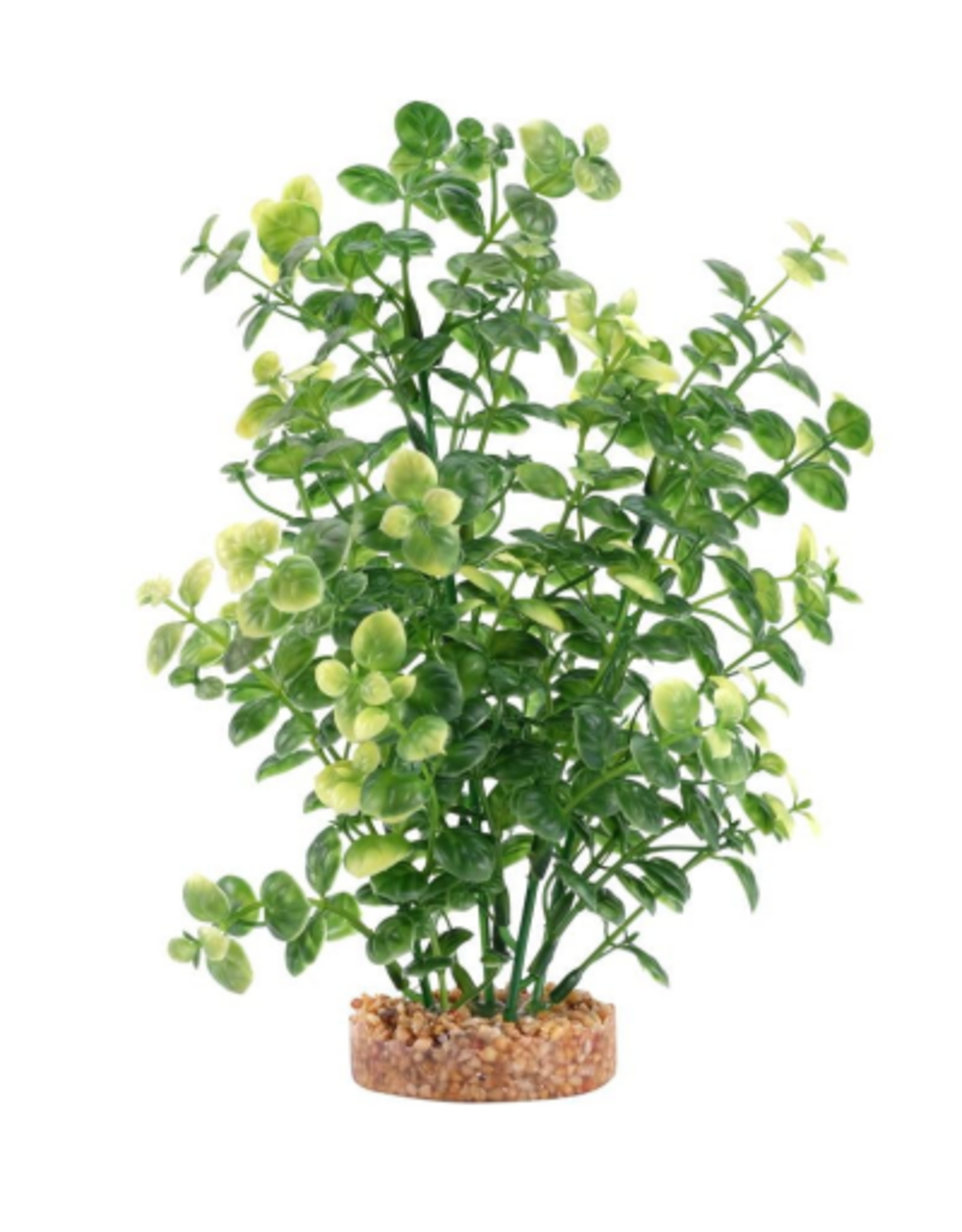 Fluval Aqualife Green Bacopa Plant Fish Aquarium Plant - 8"