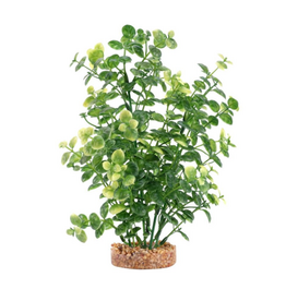 Fluval Aqualife Green Bacopa Plant Fish Aquarium Plant - 8"