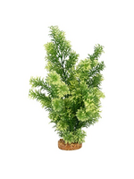 Fluval Aqualife Red Ludwigia Plant Fish Aquarium Plant - 14"
