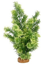 Fluval Aqualife Red Ludwigia Plant Fish Aquarium Plant - 14"