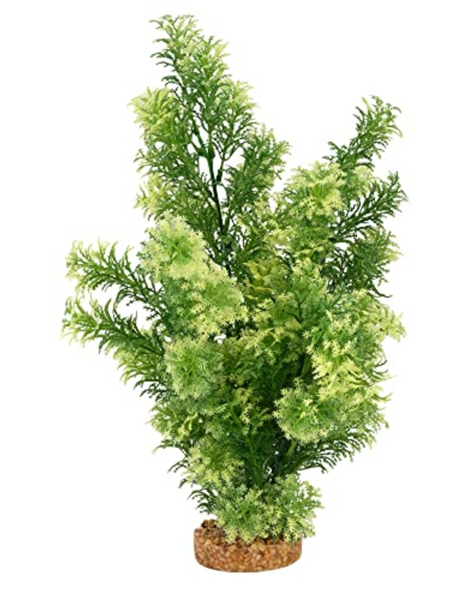 Fluval Aqualife Red Ludwigia Plant Fish Aquarium Plant - 14"