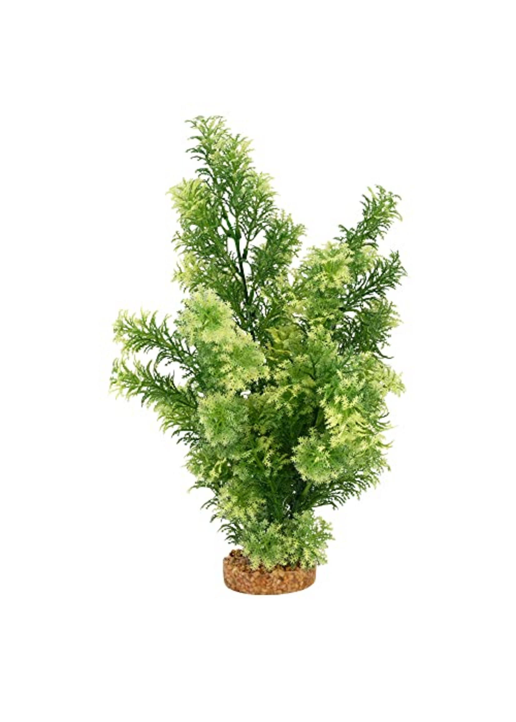 Fluval Aqualife Red Ludwigia Plant Fish Aquarium Plant - 14"