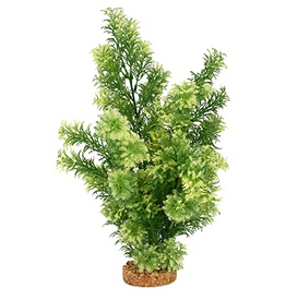 Fluval Aqualife Red Ludwigia Plant Fish Aquarium Plant - 14"