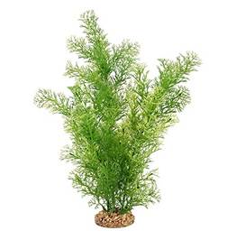 Fluval Aqualife Green Limnophila Fish Aquarium Plant - 14"