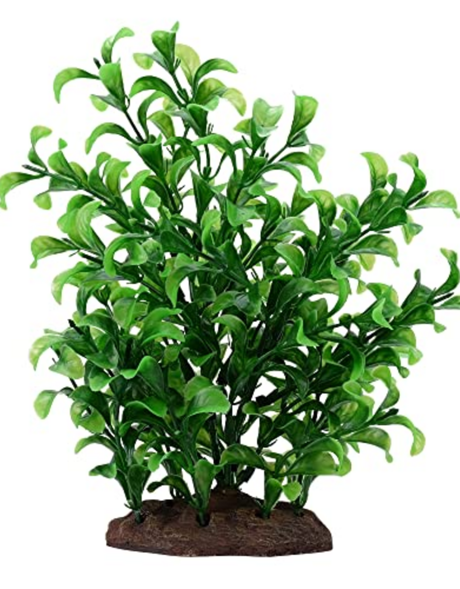 Fluval Aqualife Large Bacopa Plant Fish Aquarium Plant - 8"