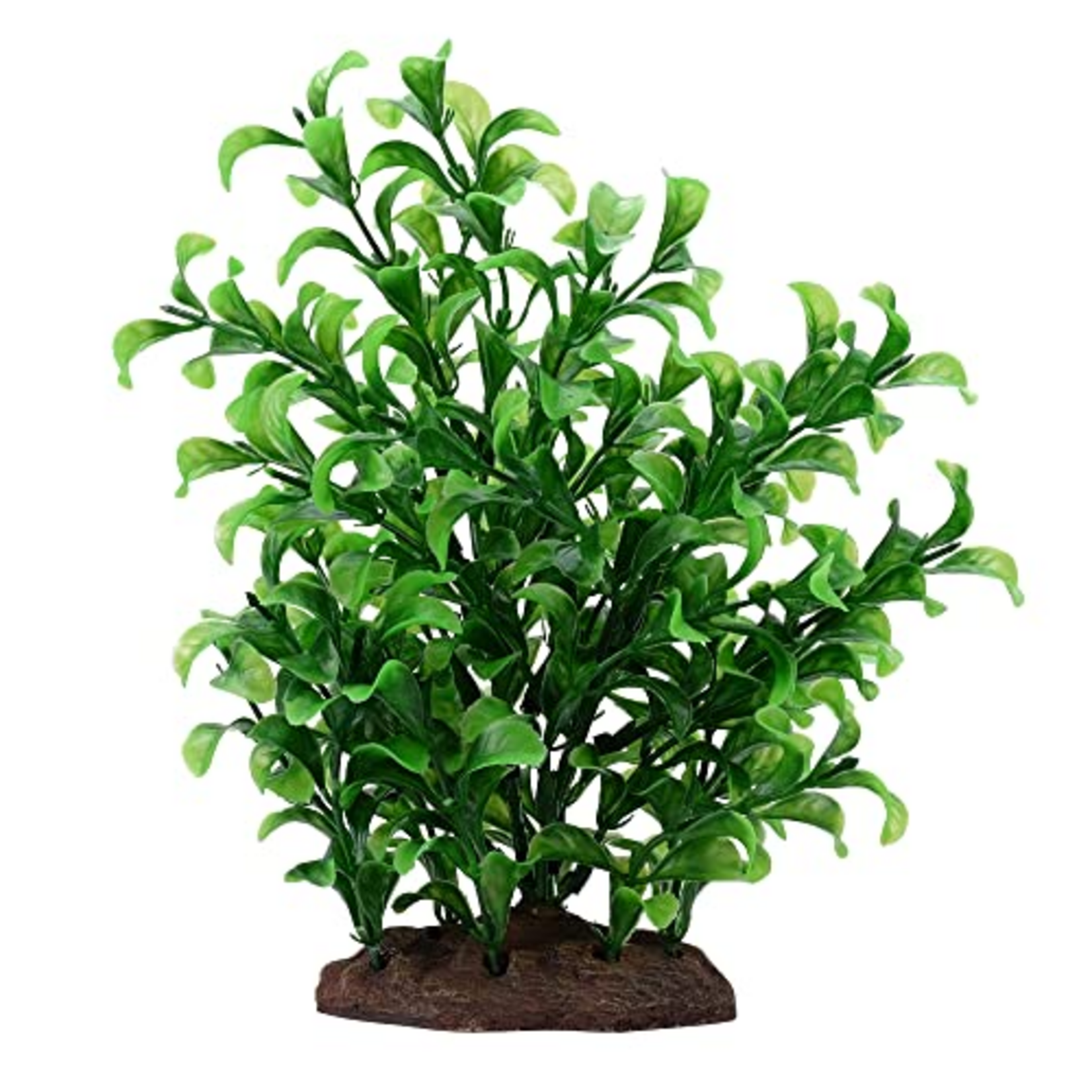 Fluval Aqualife Large Bacopa Plant Fish Aquarium Plant - 8"