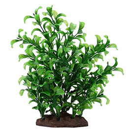 Fluval Aqualife Large Bacopa Plant Fish Aquarium Plant - 8"