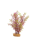 Fluval Aqualife Red Ludwigia Plant, Fish Aquarium Plant - 10"