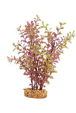 Fluval Aqualife Red Ludwigia Plant, Fish Aquarium Plant - 10"