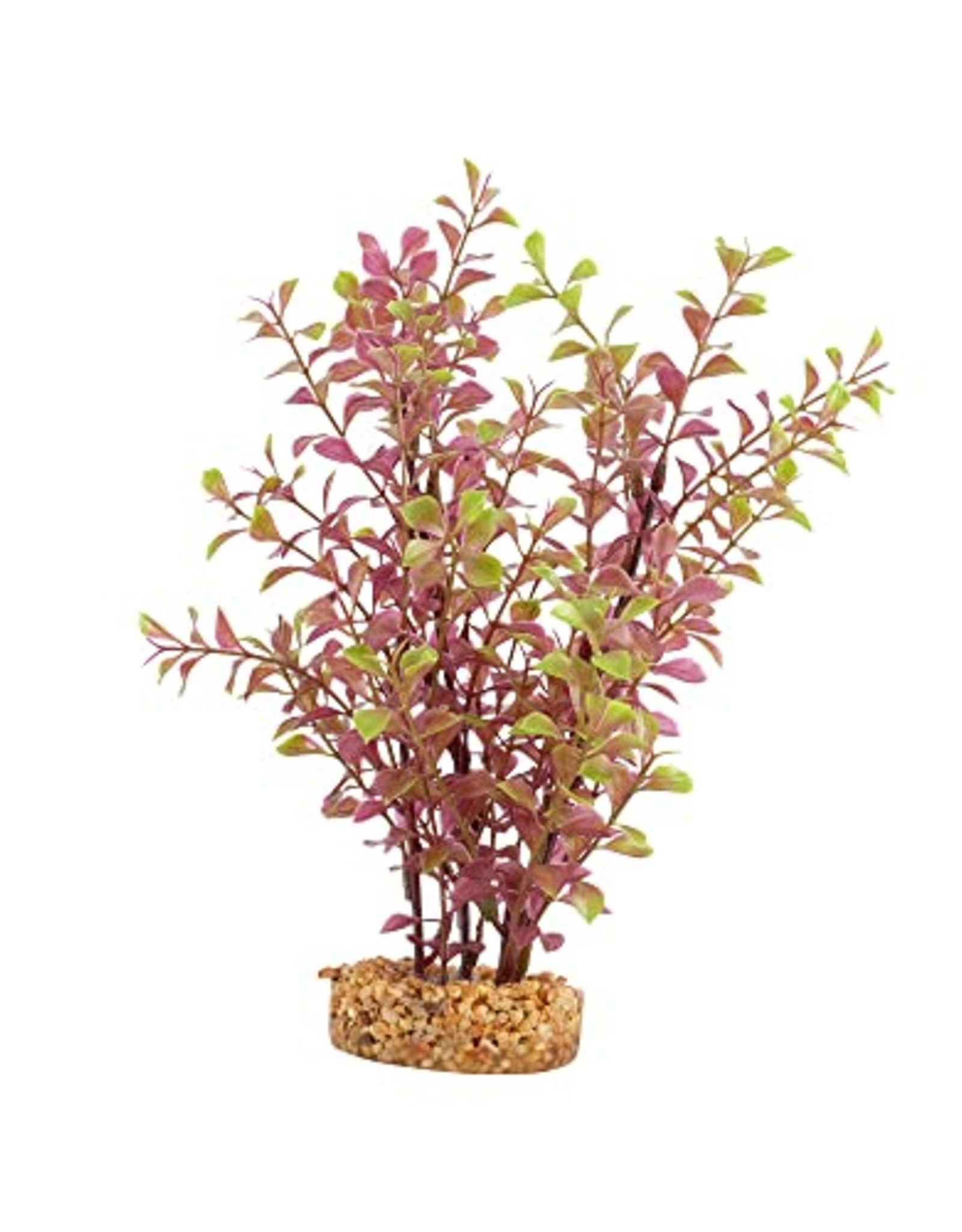 Fluval Aqualife Red Ludwigia Plant, Fish Aquarium Plant - 10"