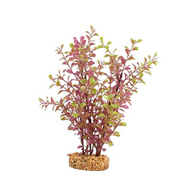 Fluval Aqualife Red Ludwigia Plant, Fish Aquarium Plant - 10"