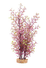 Fluval Aqualife Red Ludwigia Plant, Fish Aquarium Plant - 14"