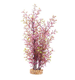 Fluval Aqualife Red Ludwigia Plant, Fish Aquarium Plant - 14"