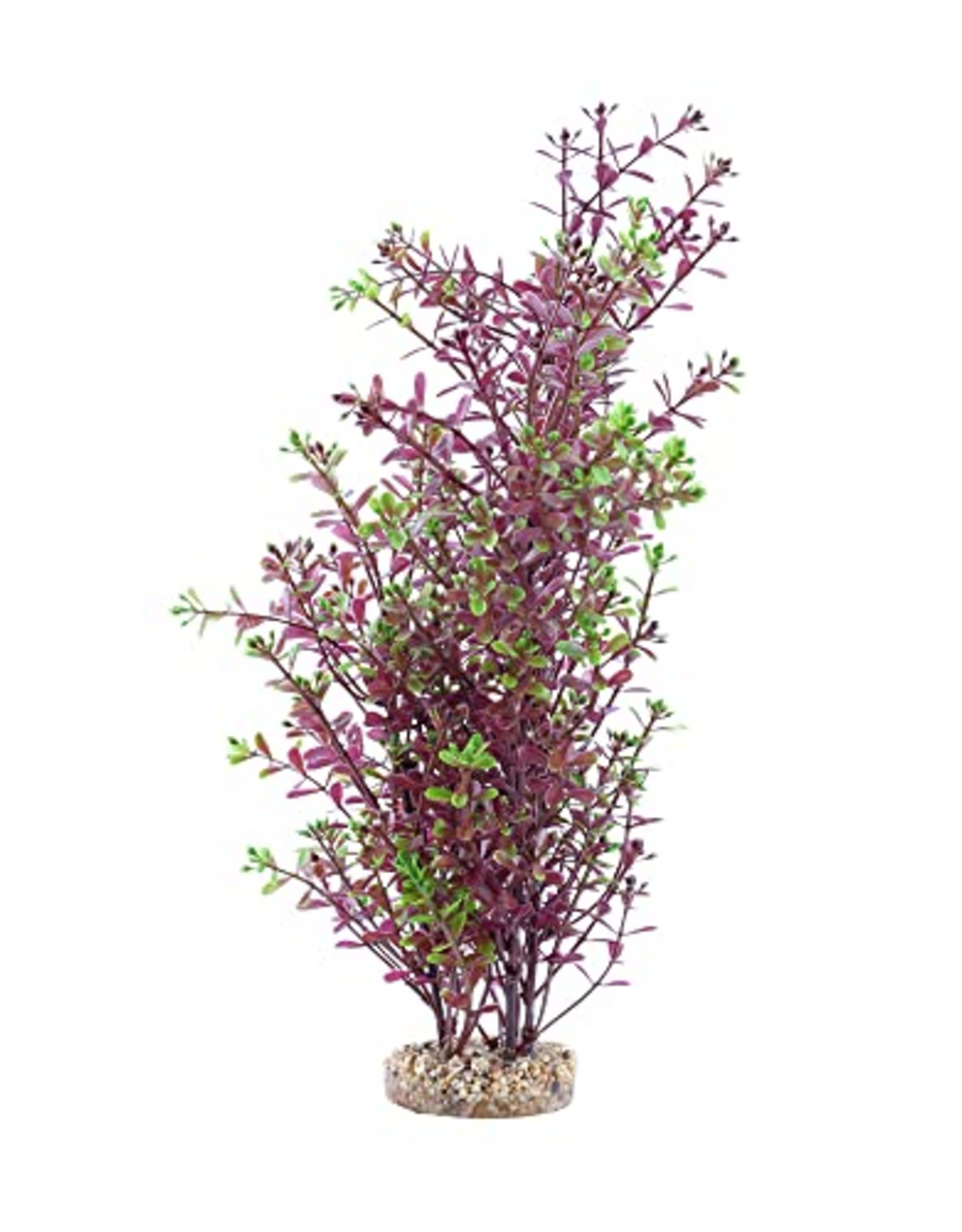 Fluval Aqualife Red Rotala Plant, Fish Aquarium Plant - 10"