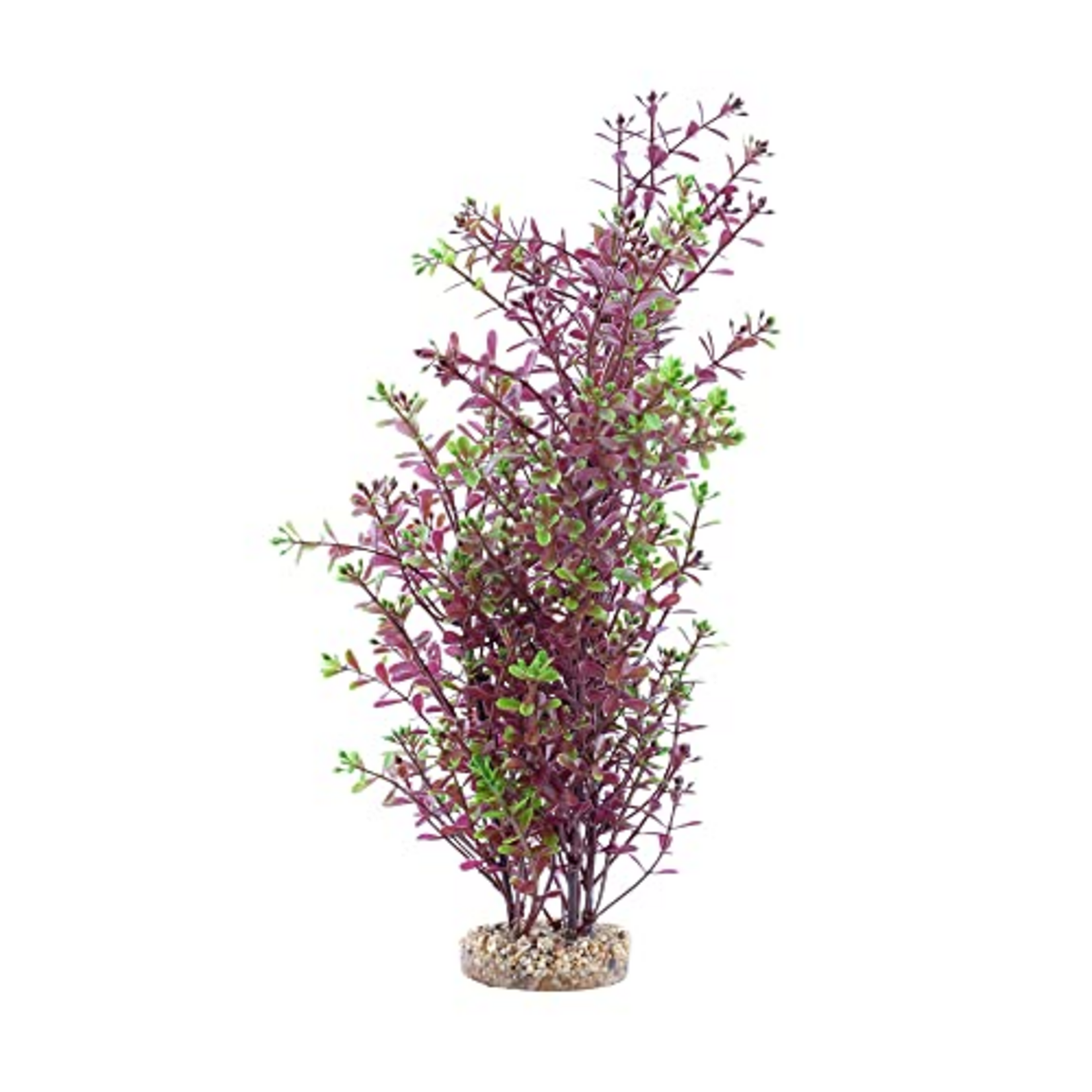 Fluval Aqualife Red Rotala Plant, Fish Aquarium Plant - 10"