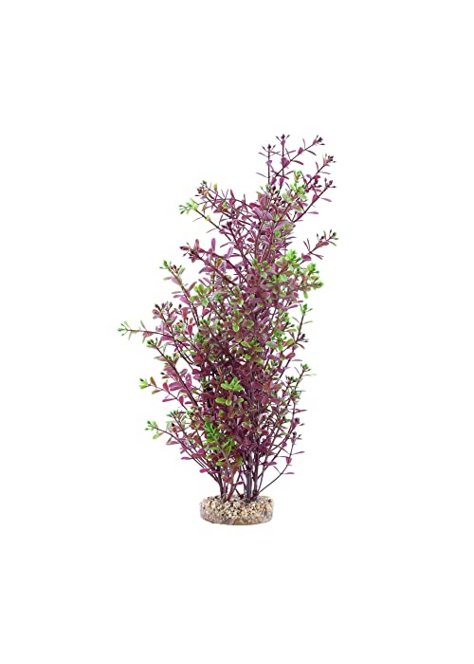 Fluval Aqualife Red Rotala Plant, Fish Aquarium Plant - 10"