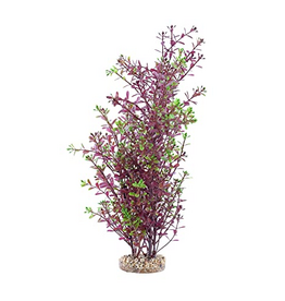 Fluval Aqualife Red Rotala Plant, Fish Aquarium Plant - 10"