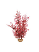 Fluval Aqualife Scarlet Eichornea Plant, Fish Aquarium Plant - 14"