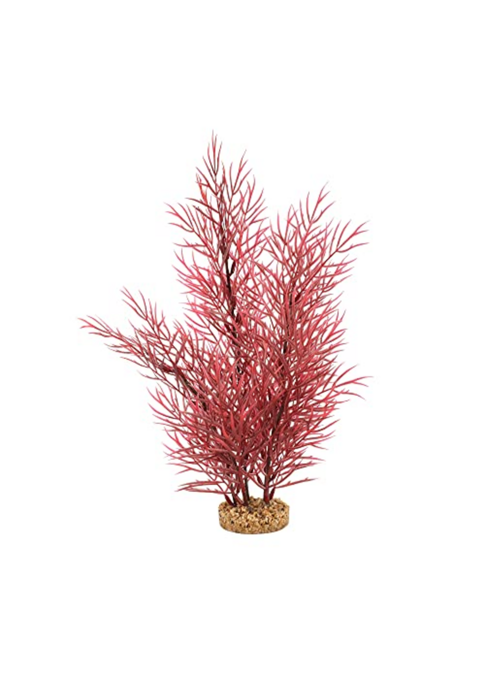 Fluval Aqualife Scarlet Eichornea Plant, Fish Aquarium Plant - 14"