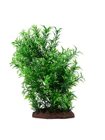 Fluval Aqualife Small Helzine Plant, Fish Aquarium Plant - 8"