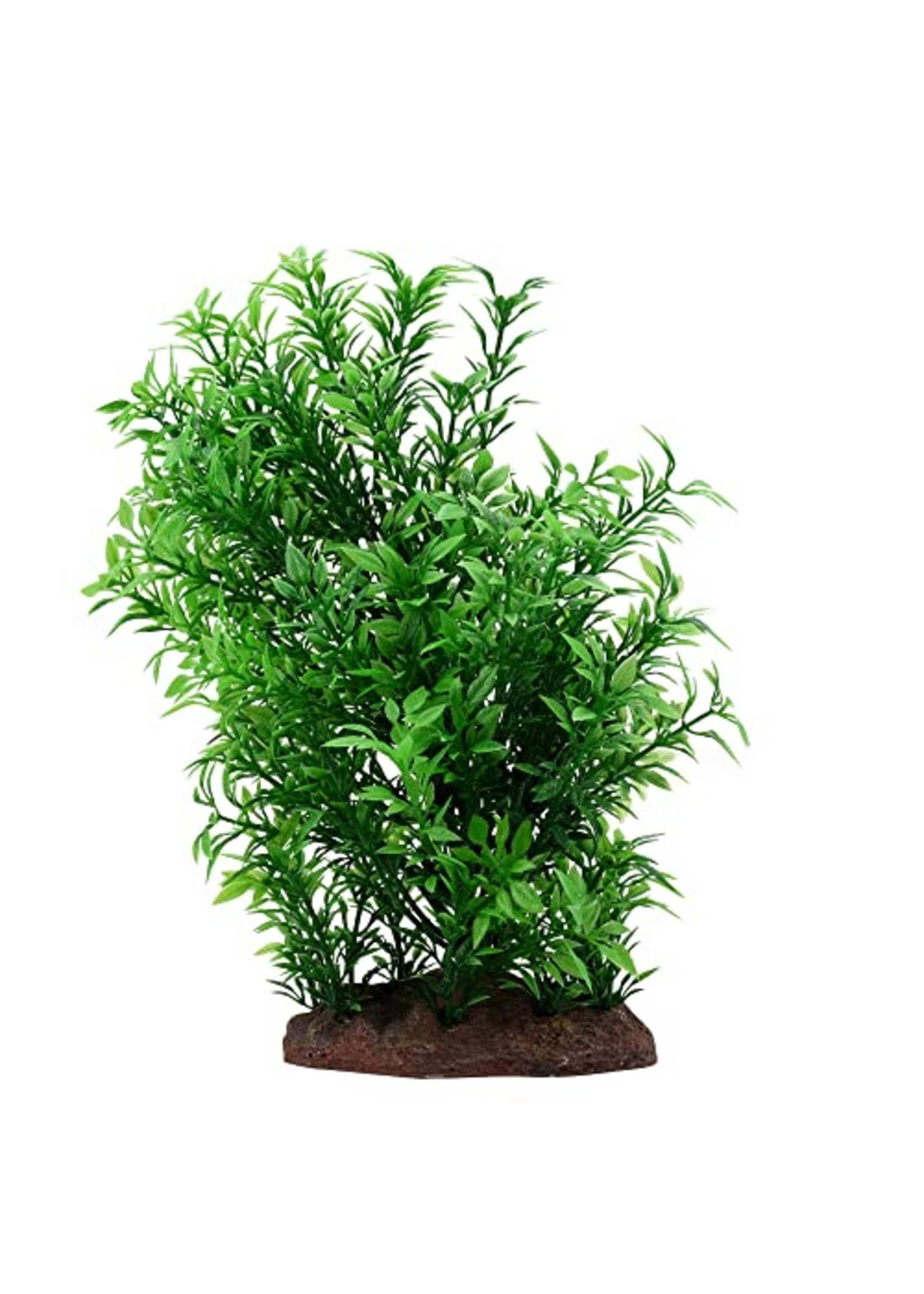 Fluval Aqualife Small Helzine Plant, Fish Aquarium Plant - 8"