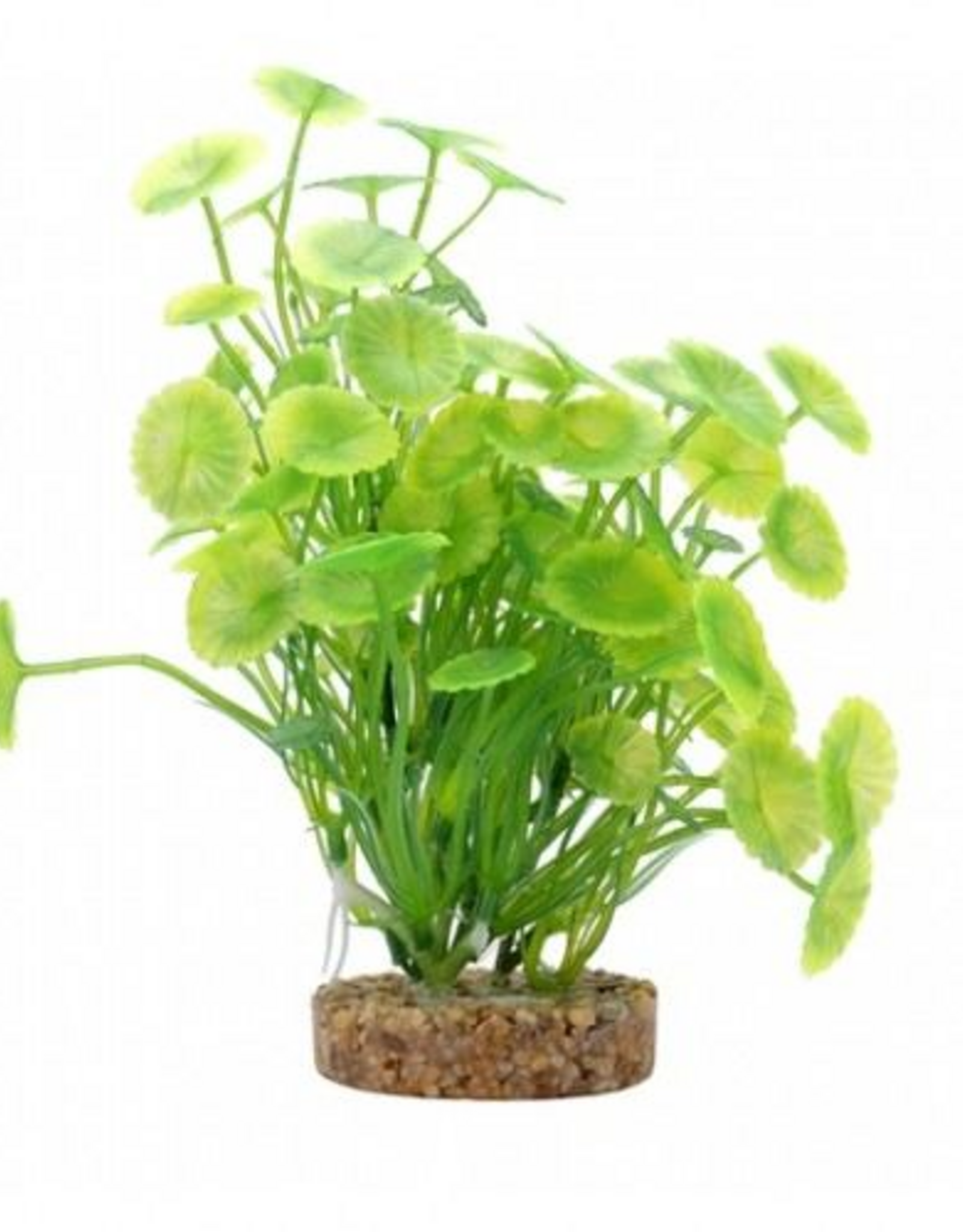 Fluval Aqualife Yellow-green Lysimachia, Fish Aquarium Plant - 8"