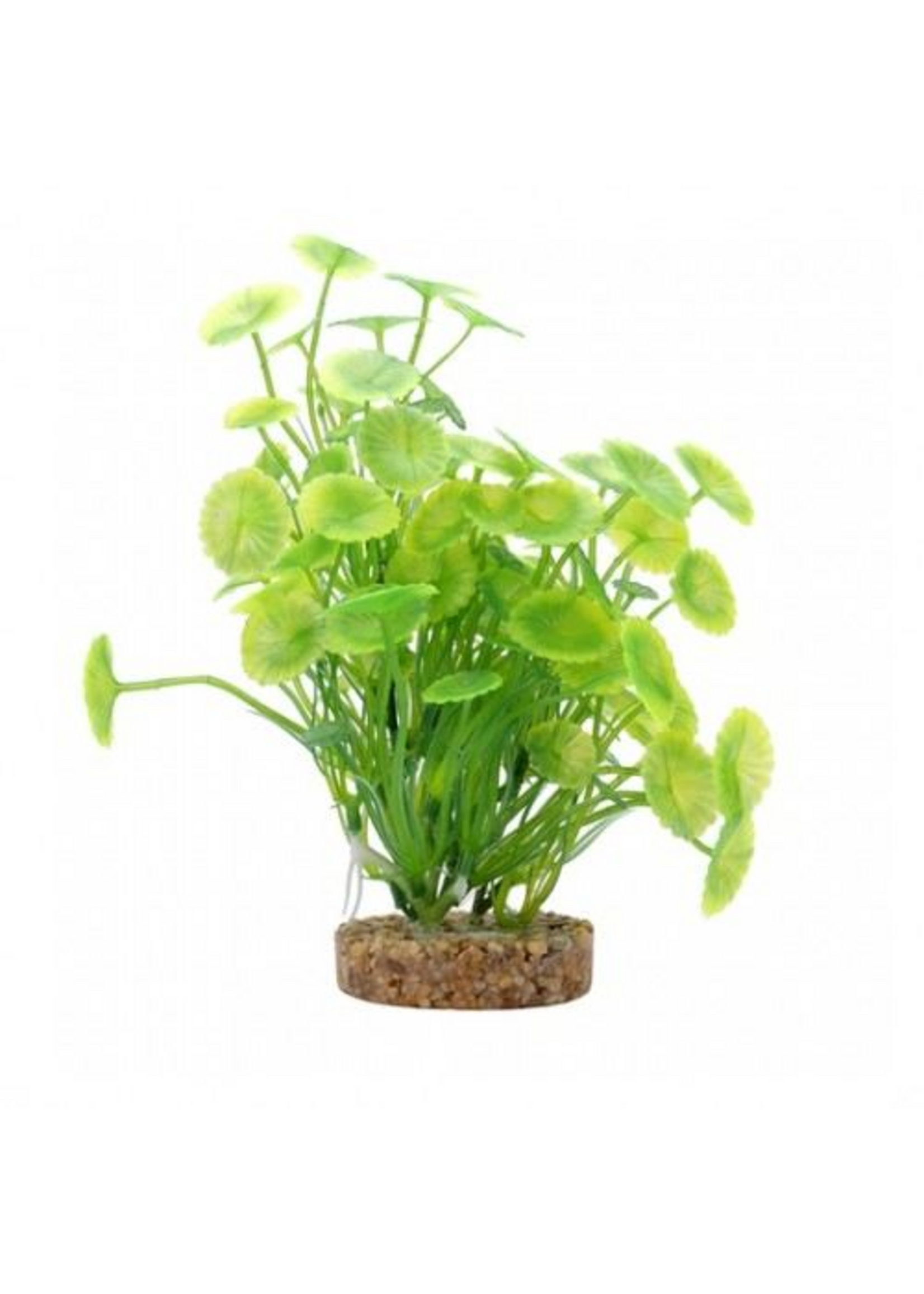 Fluval Aqualife Yellow-green Lysimachia, Fish Aquarium Plant - 8"