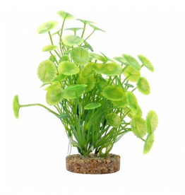 Fluval Aqualife Yellow-green Lysimachia, Fish Aquarium Plant - 8"