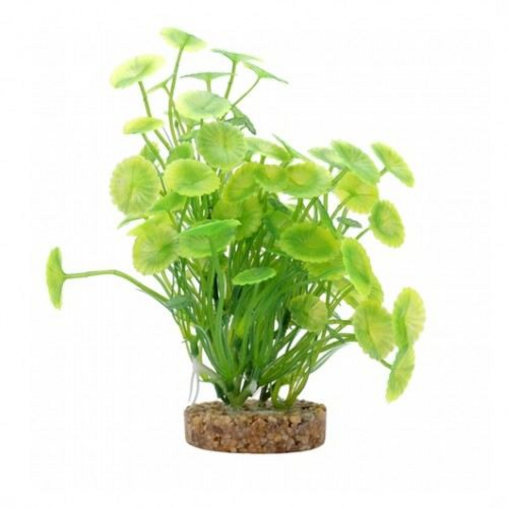 Fluval Aqualife Yellow-green Lysimachia, Fish Aquarium Plant - 8"