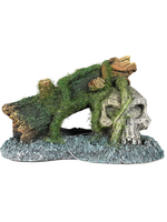 Blue Ribbon Exotic Environments Skull with Moss Ornament pd