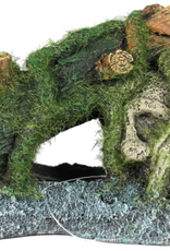 Blue Ribbon Exotic Environments Skull with Moss Ornament