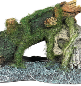 Blue Ribbon Exotic Environments Skull with Moss Ornament