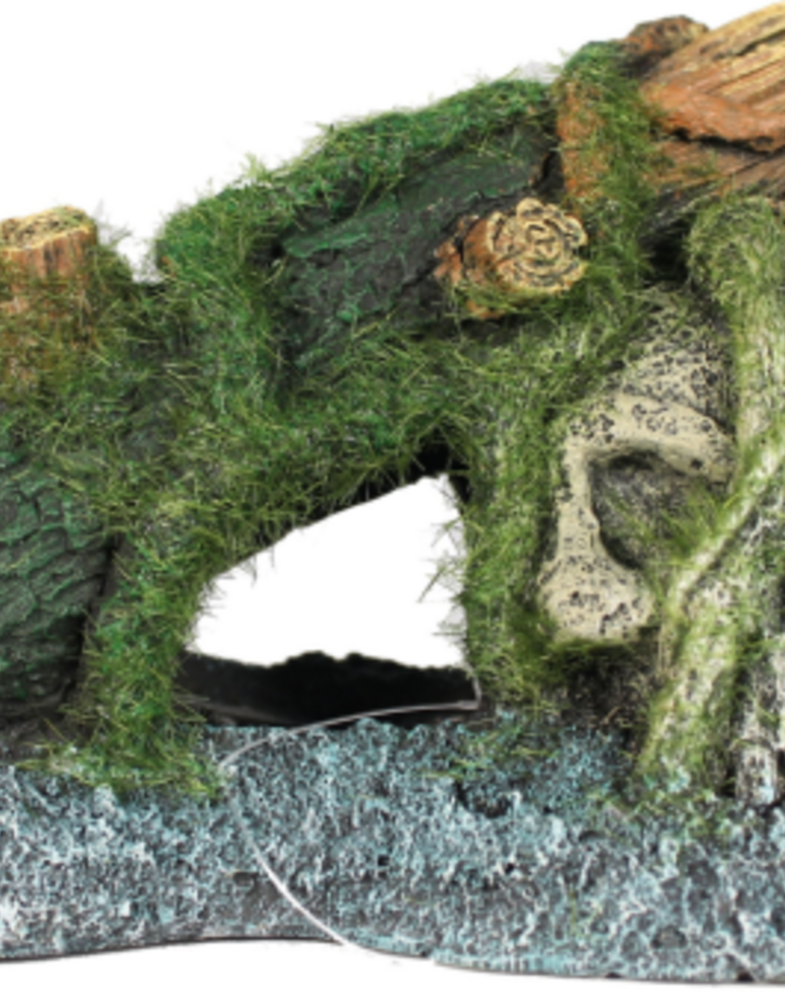 Blue Ribbon Exotic Environments Skull with Moss Ornament