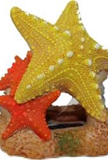 Blue Ribbon Exotic Environments Sea Star Duo - 3.5 x 3 x 3.5 in.