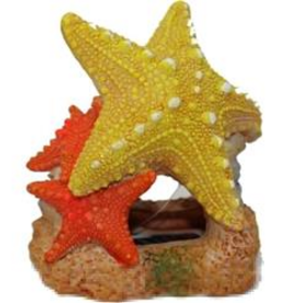 Blue Ribbon Exotic Environments Sea Star Duo - 3.5 x 3 x 3.5 in.
